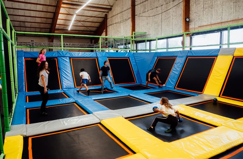 Gooi, ontwijk en beleef actie in de dodgeball zone.